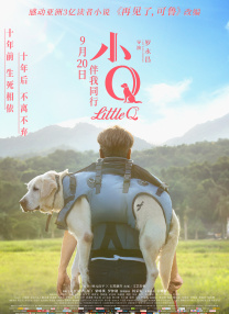 又叫又疼扑克视频